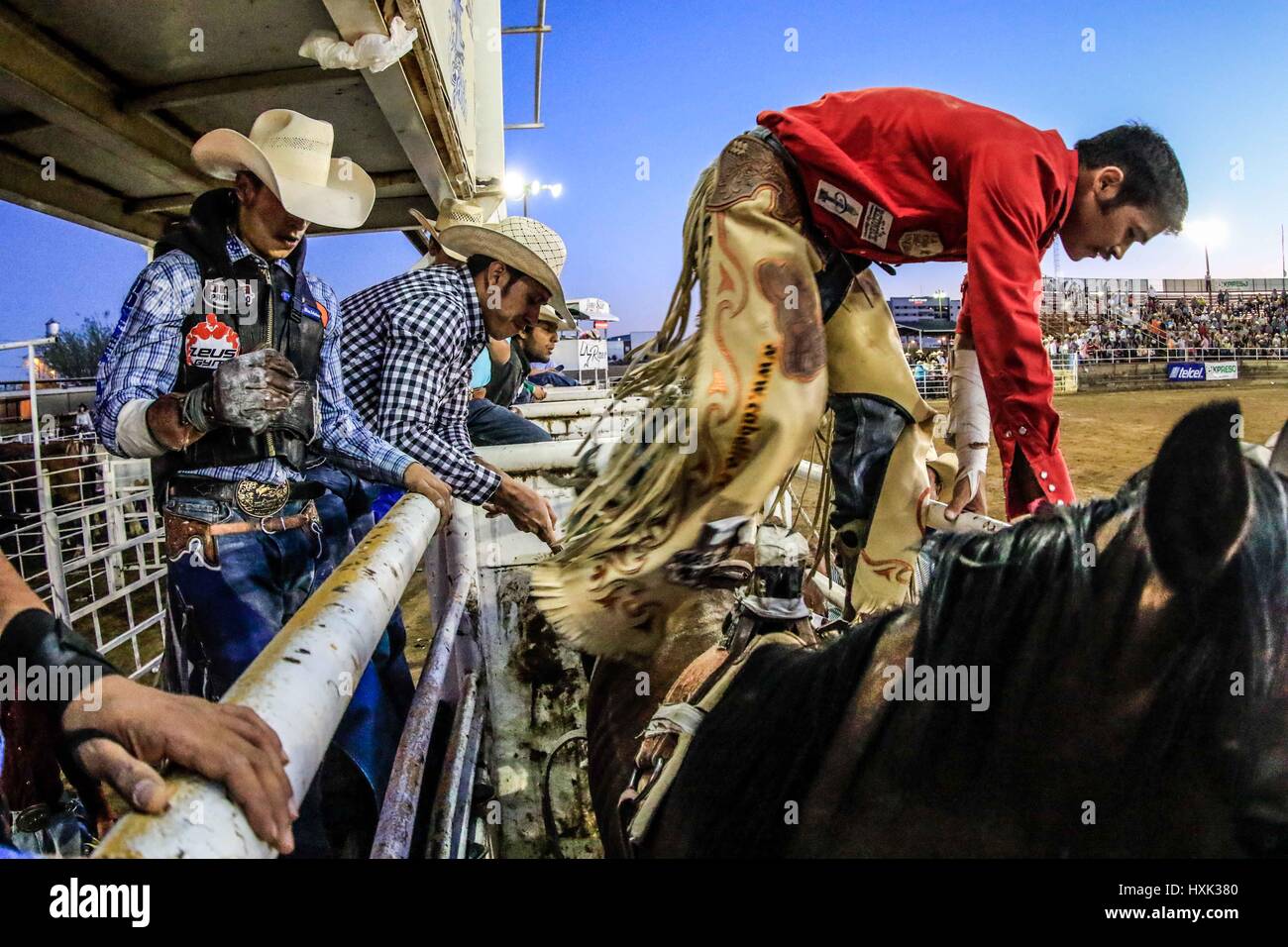 Report about rodeo riders and environment around this Vaquero sport ...