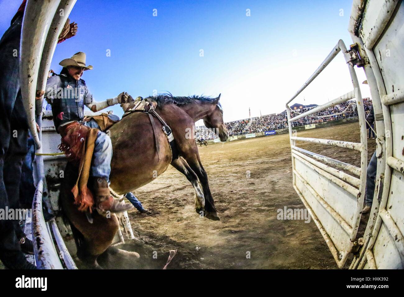Report about rodeo riders and environment around this Vaquero sport ...