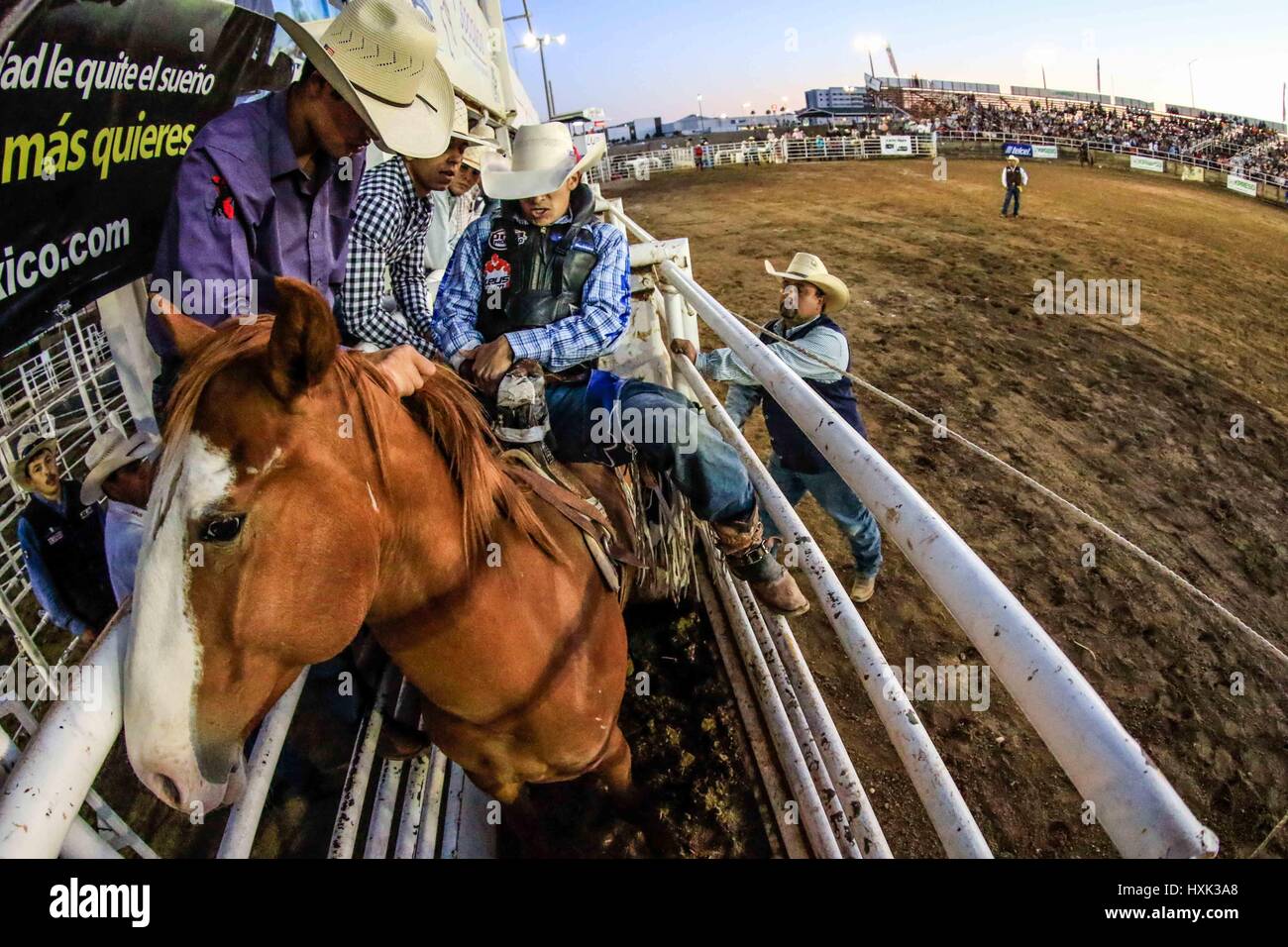Vaquero brasil hi-res stock photography and images - Alamy