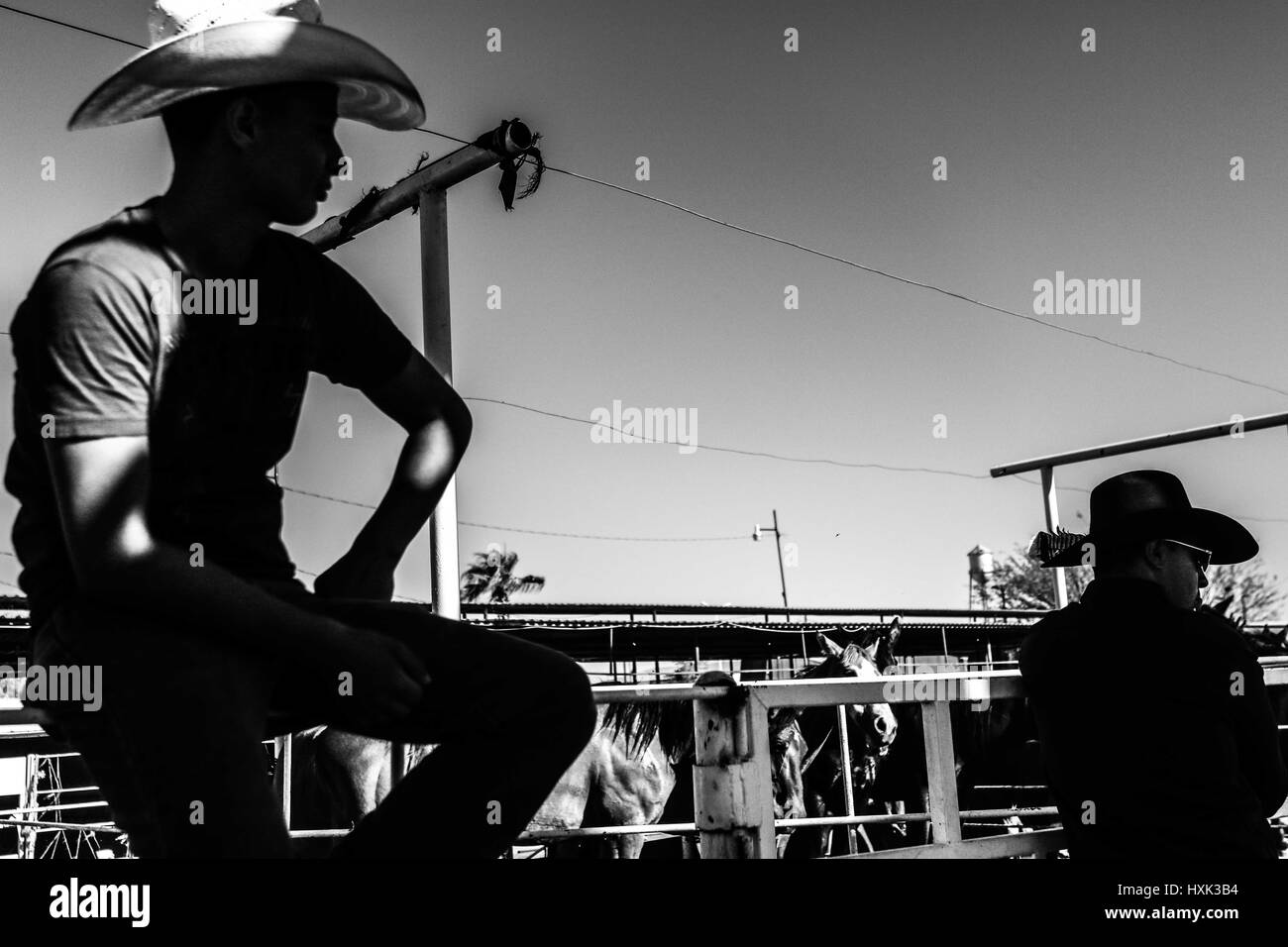 Vaquero brasil hi-res stock photography and images - Alamy