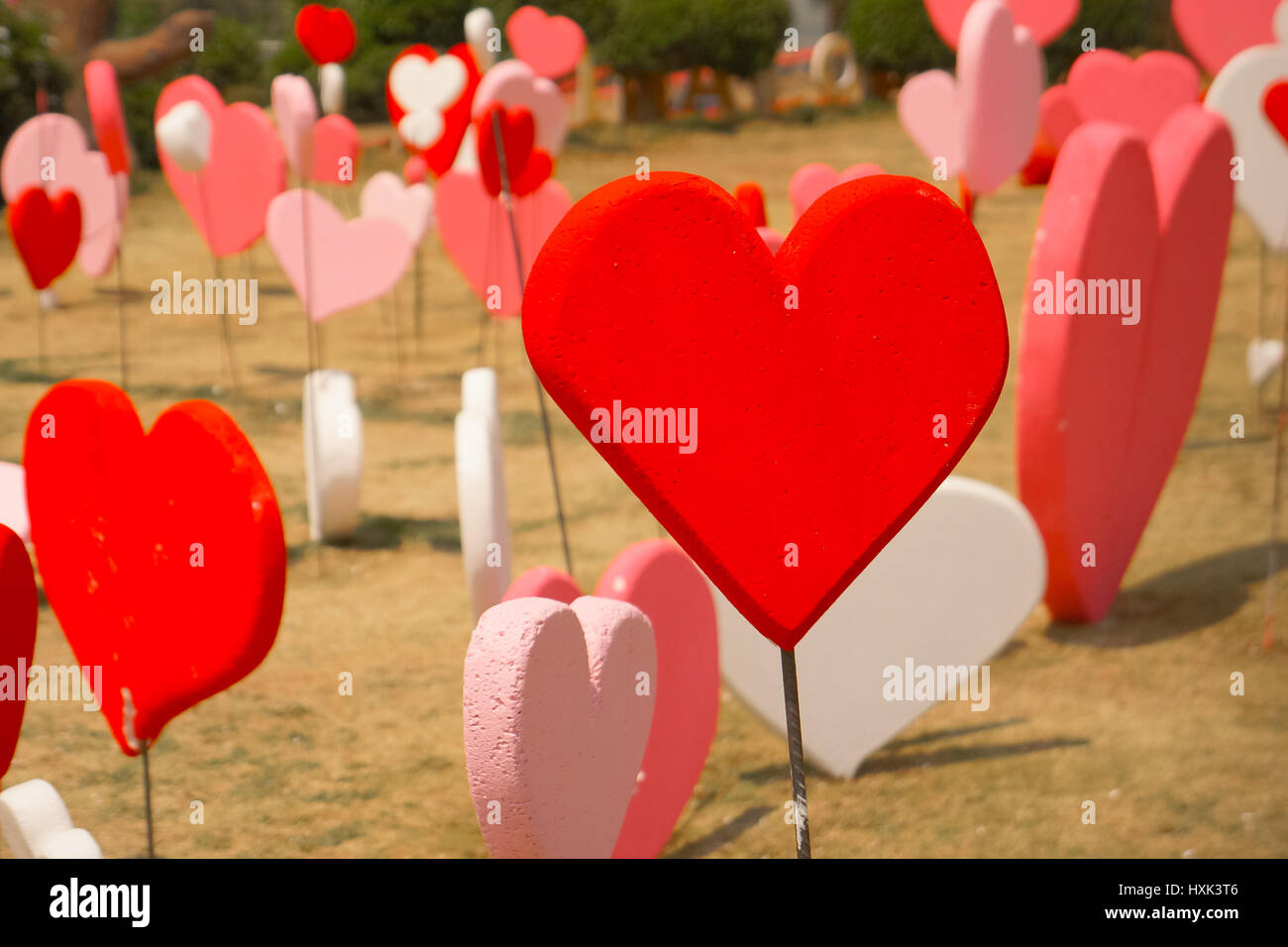 Valentine's Day Wallpapers. Love Romantic Theme : Many Red shape in garden  Stock Photo - Alamy