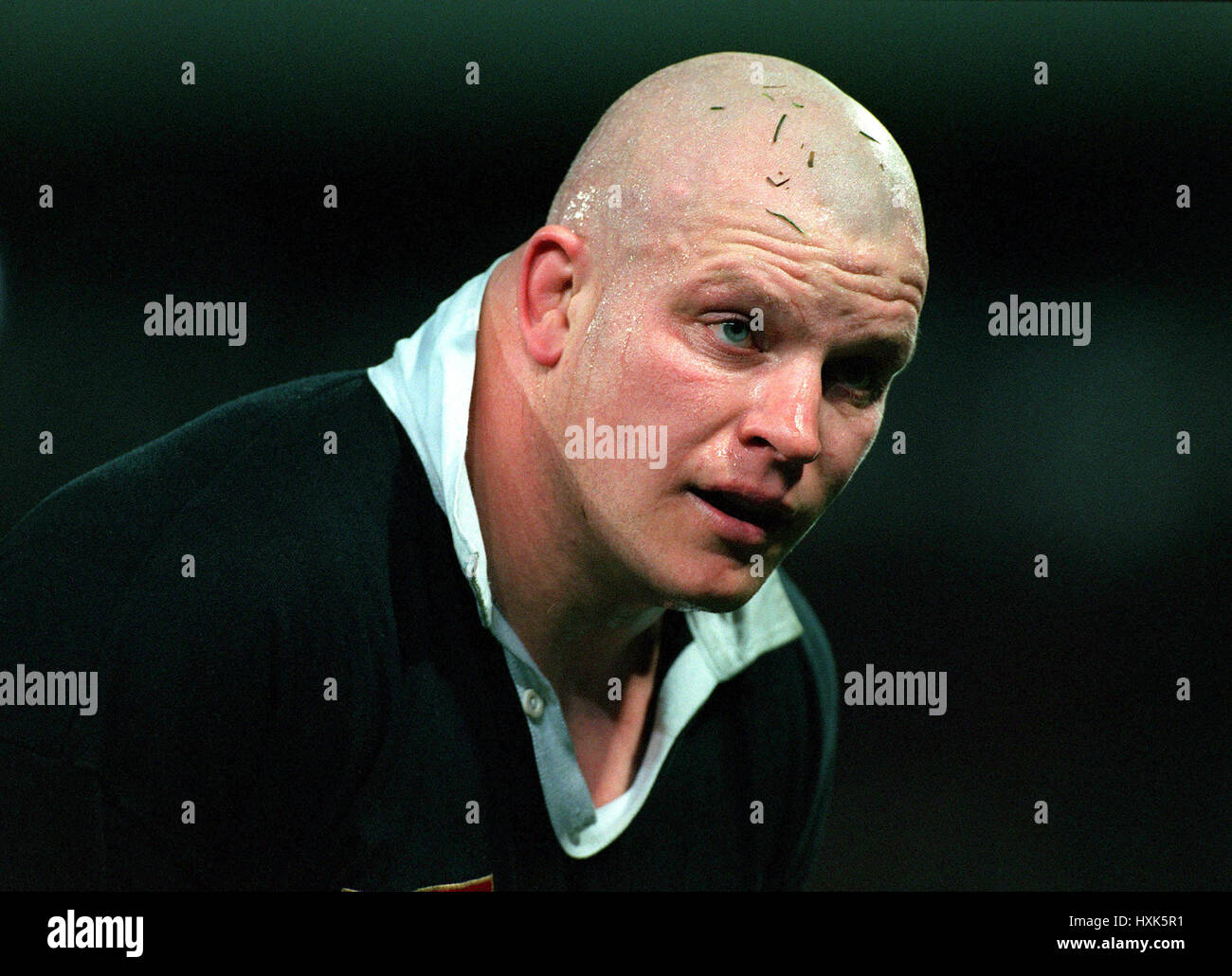 MARK ALLEN NEW ZEALAND RU 19 November 1997 Stock Photo