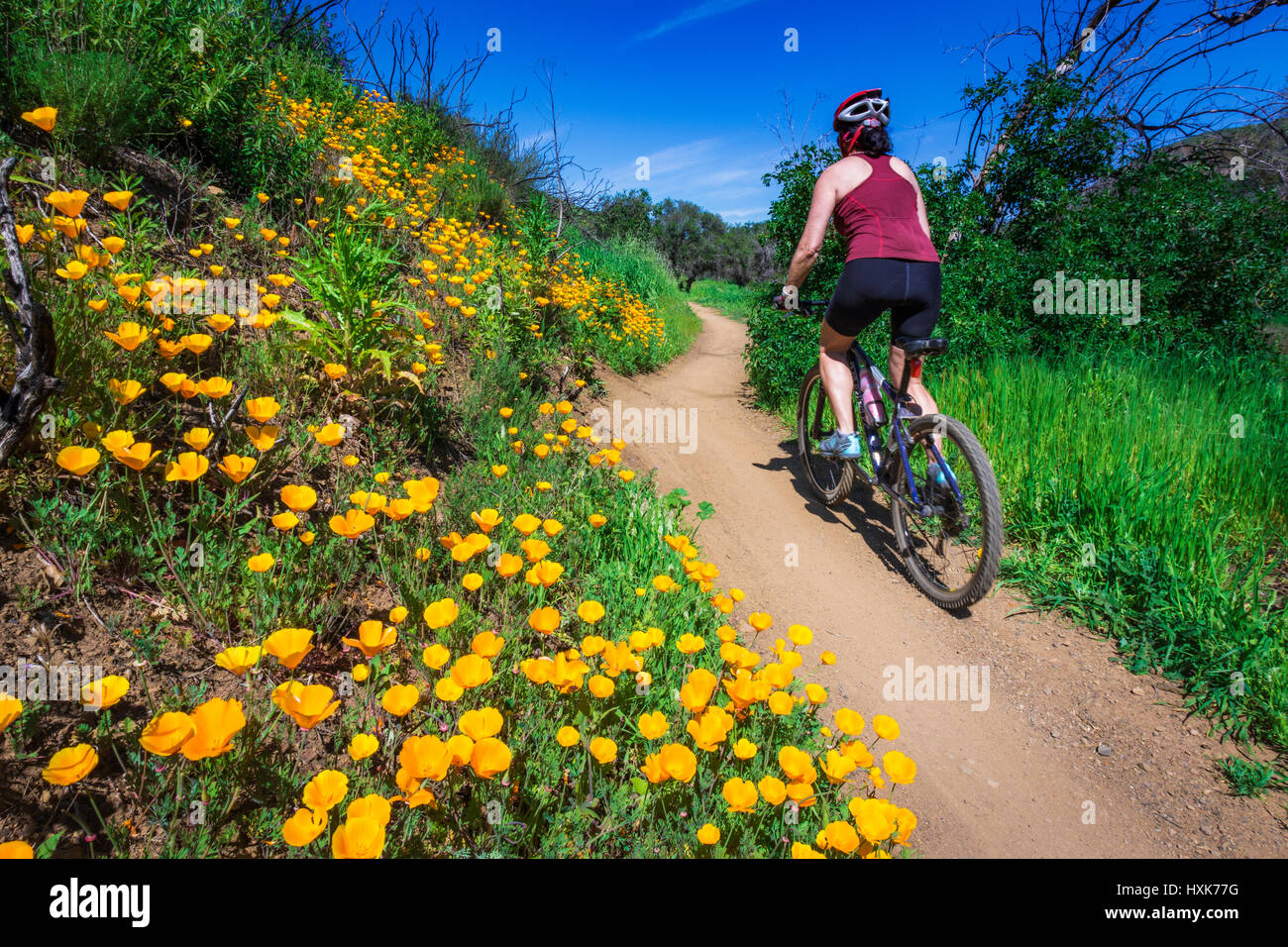 sycamore canyon mountain bike trails