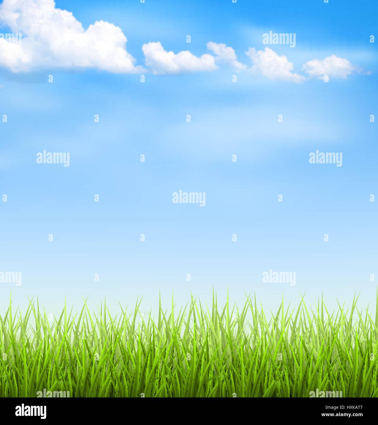 Grass lawn with clouds on blue sky Stock Vector