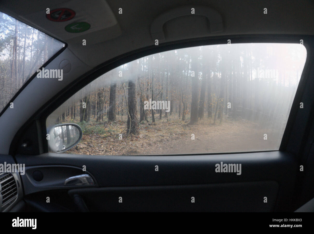 View of Forest Through Condensed Car Window Stock Photo