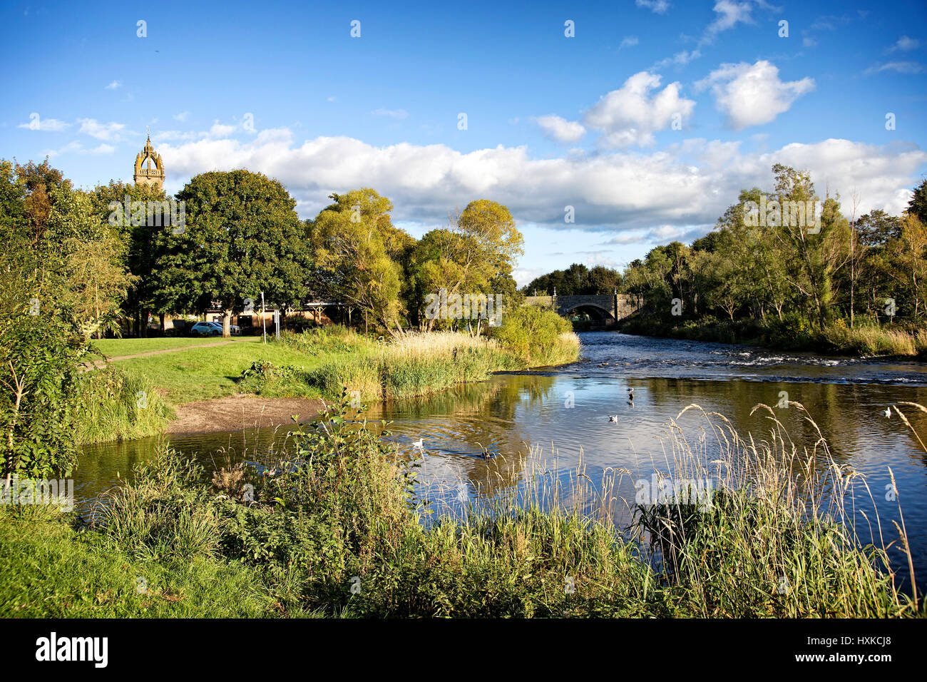 Autumn Scene on the River Tweed, Peebles, Scotland Stock Photo Alamy