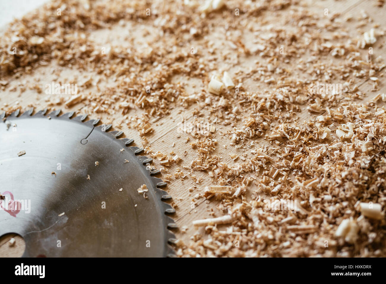 Messy workbench with circular saw blade Stock Photo Alamy