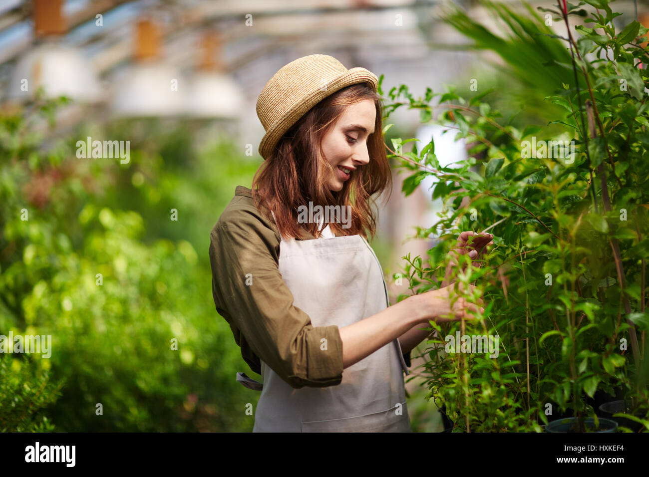 Young Beautiful Woman Gardening in Tree Nursery Stock Photo