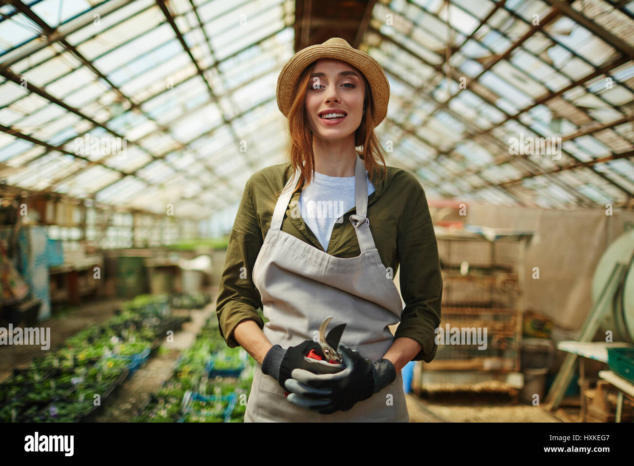 Young Beautiful Woman Working in Nursery Garden of Glasshouse Stock Photo