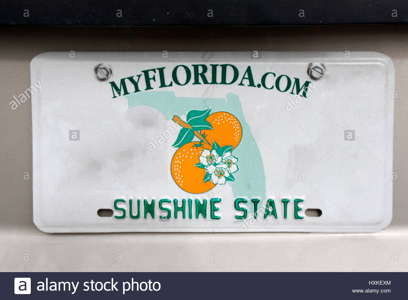 florida auto plate license