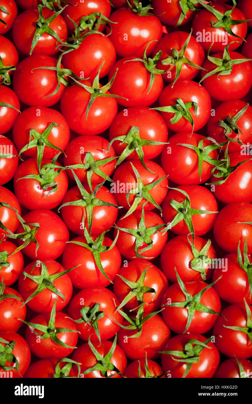 red tomatoes background. Group of tomatoes. tomato Stock Photo - Alamy