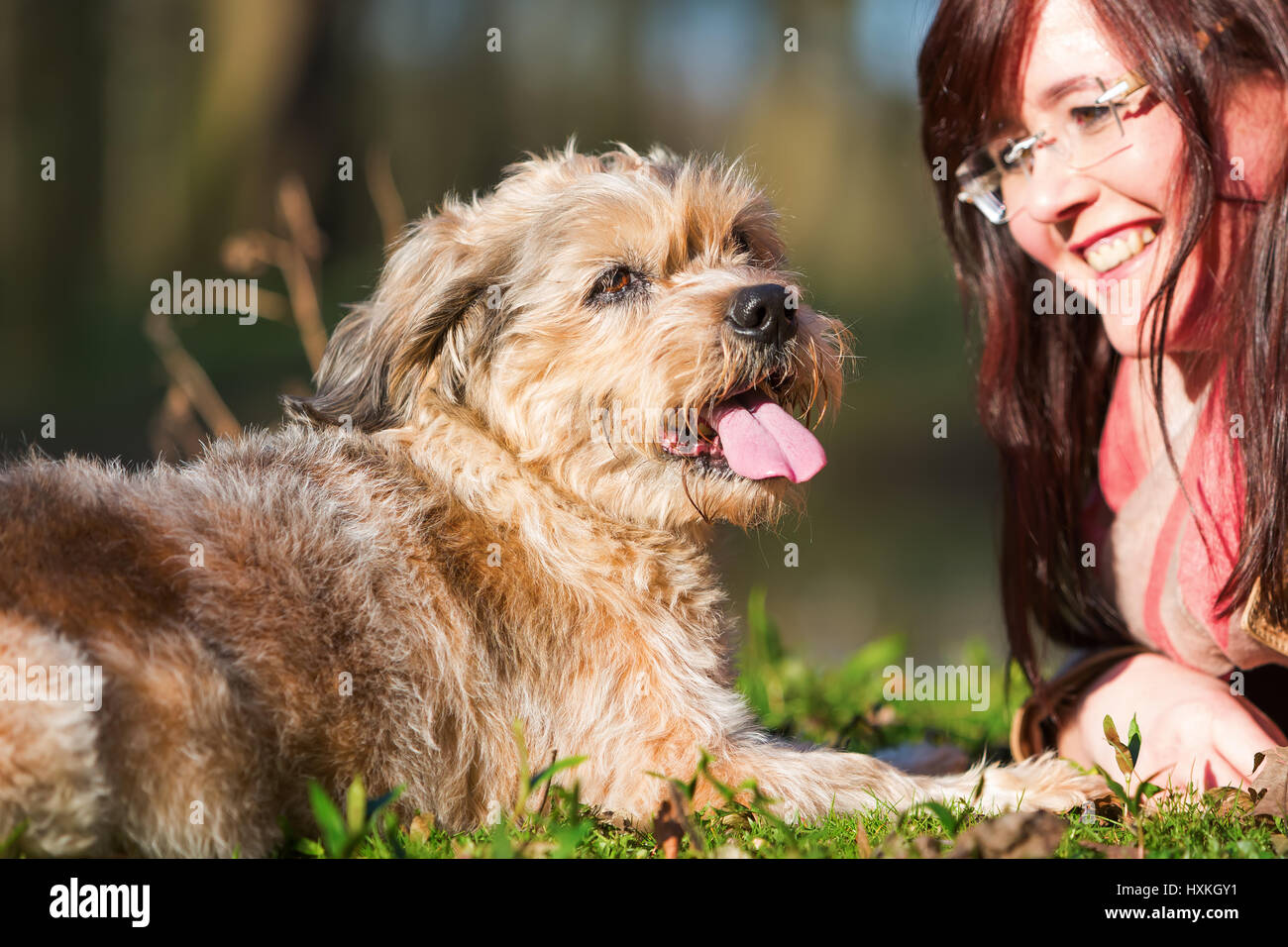 portrait of a young woman lying with her dog in the grass Stock Photo ...