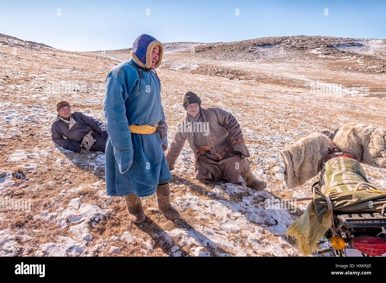 Mongolian sheep and goat herders in the Gobi Desert manage their flocks ...