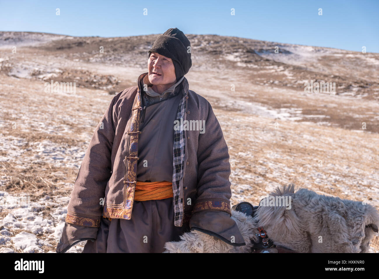 Mongolian sheep and goat herders in the Gobi Desert manage their flocks ...