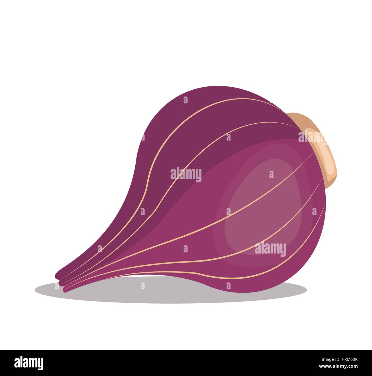 red onion nutrition healthy image Stock Vector Image & Art Alamy