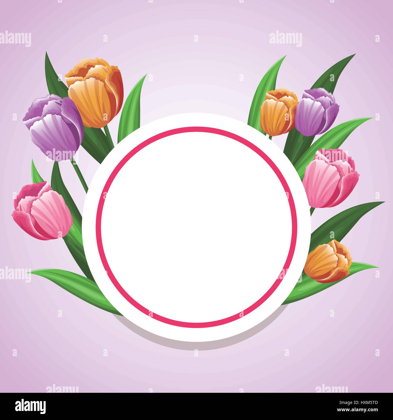 card tulip flower decoration template Stock Vector Image & Art - Alamy
