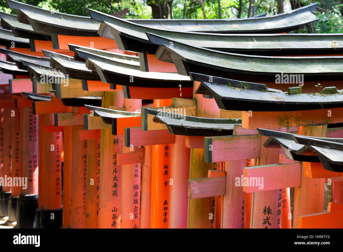 Bright red Torii in shinto shrine, Kyoto Stock Photo - Alamy