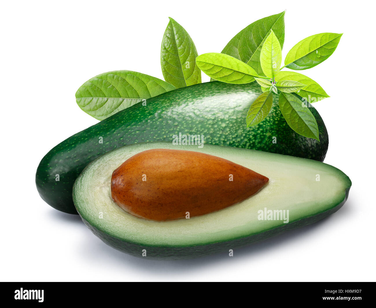 Whole and half green avocado Fuerte (Persea americana) with leaves