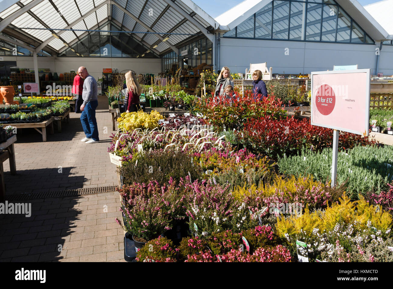 Hilliers garden centre hi-res stock photography and images - Alamy