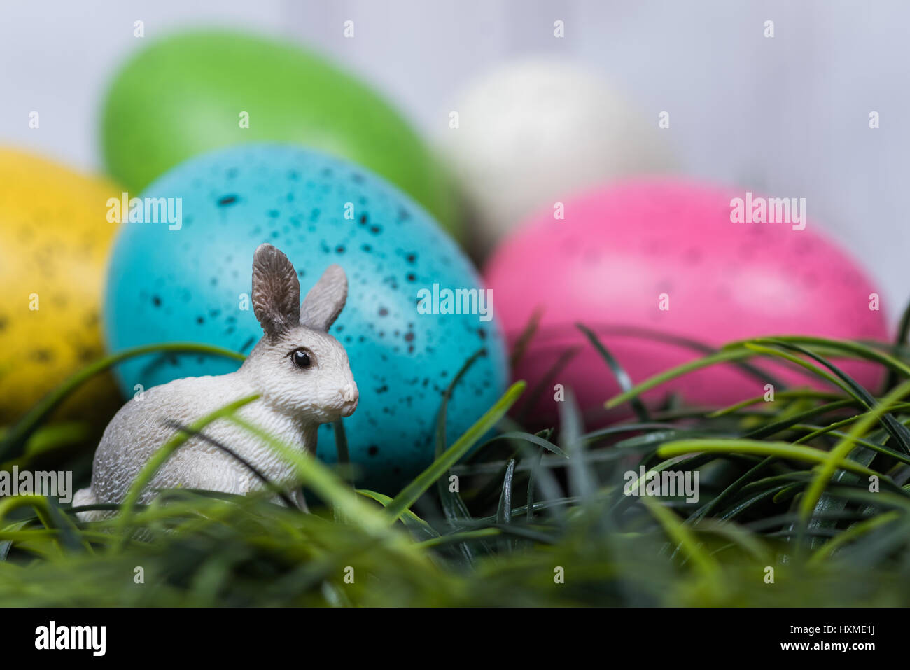 Minature rabbit sits in grass next to decorated Easter Eggs Stock Photo ...