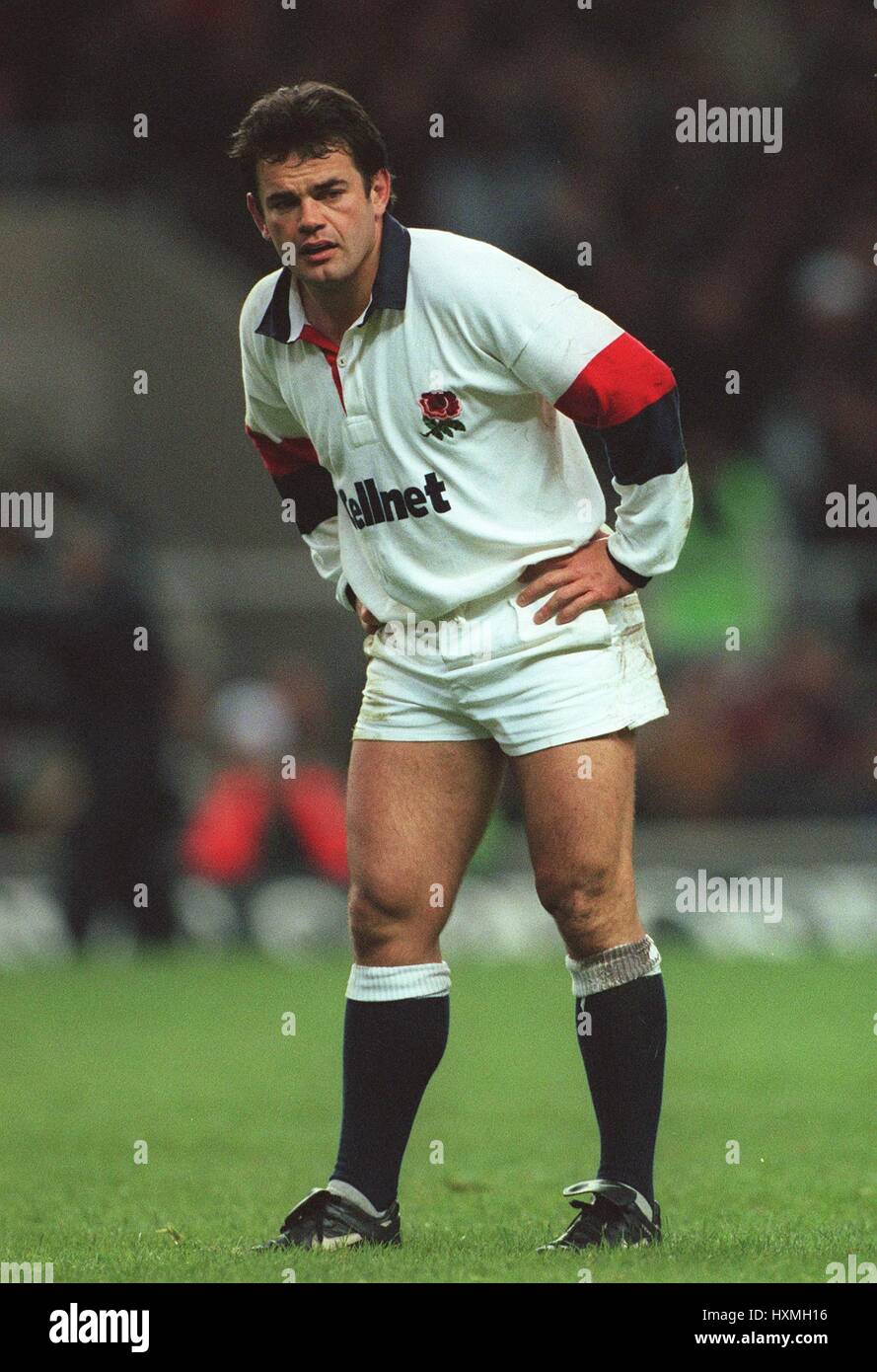 Harlequins will carling hires stock photography and images Alamy