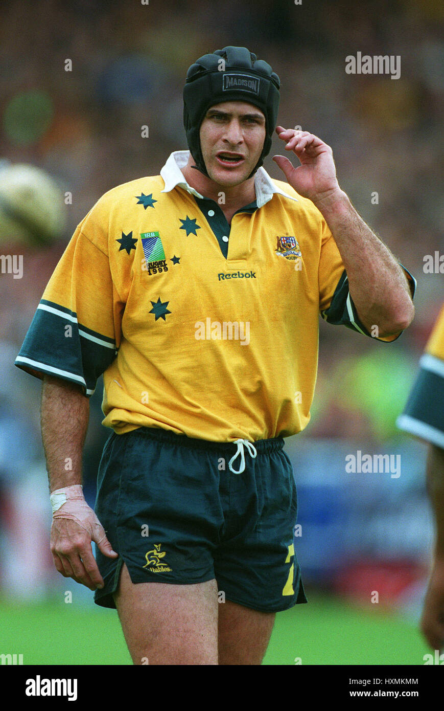 David wilson hi-res stock photography and images - Alamy