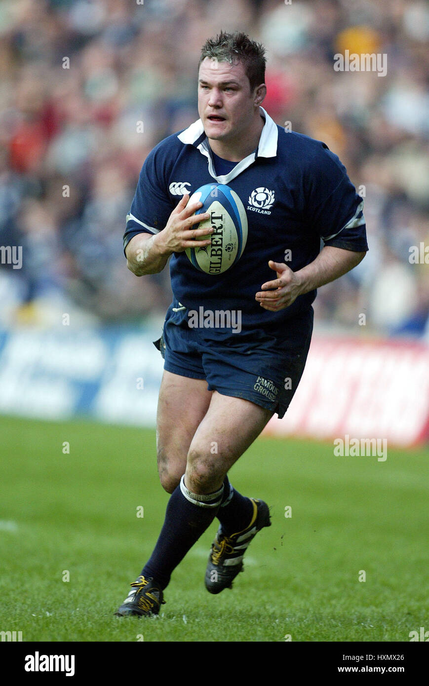 Scotlands new rugby coach matt williams hi-res stock photography and images  - Alamy