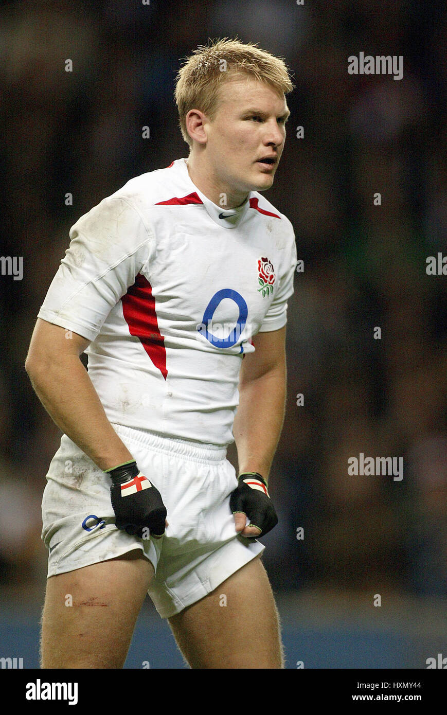 Wasps stuart abbott hires stock photography and images Alamy