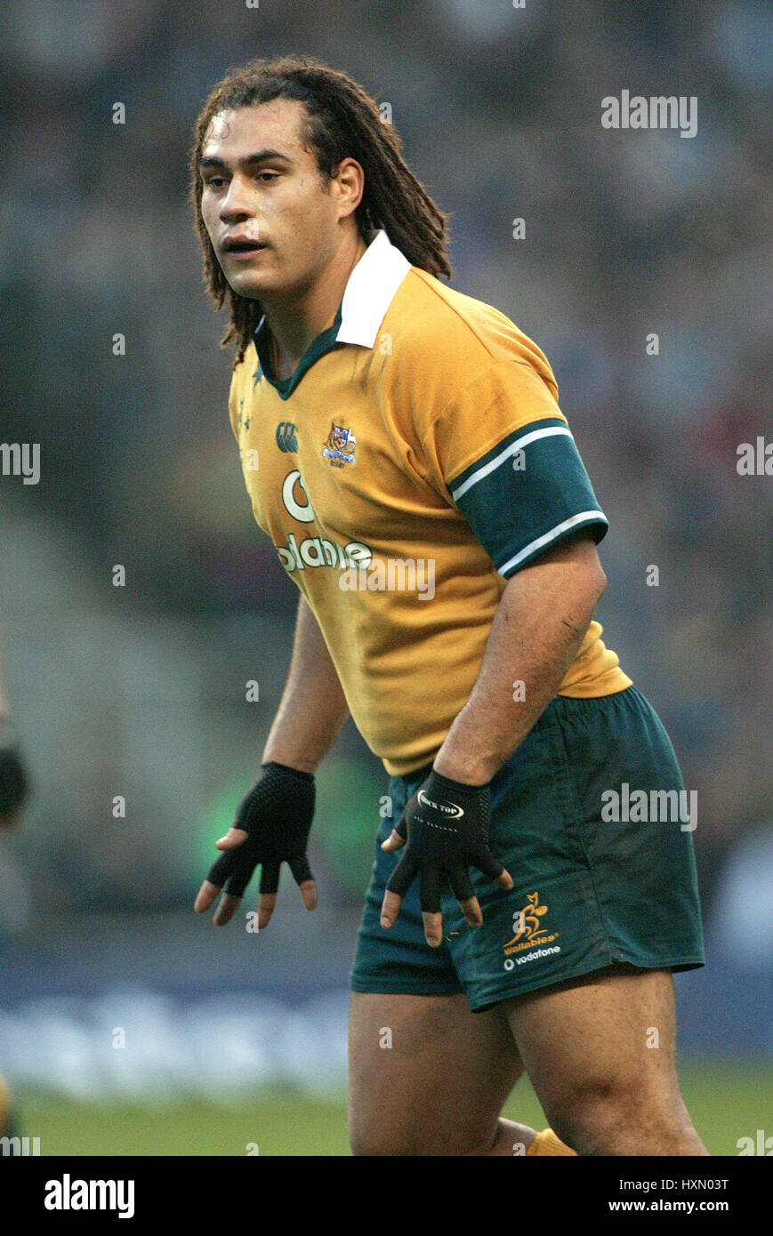 George smith australia rugby hi-res stock photography and images - Alamy