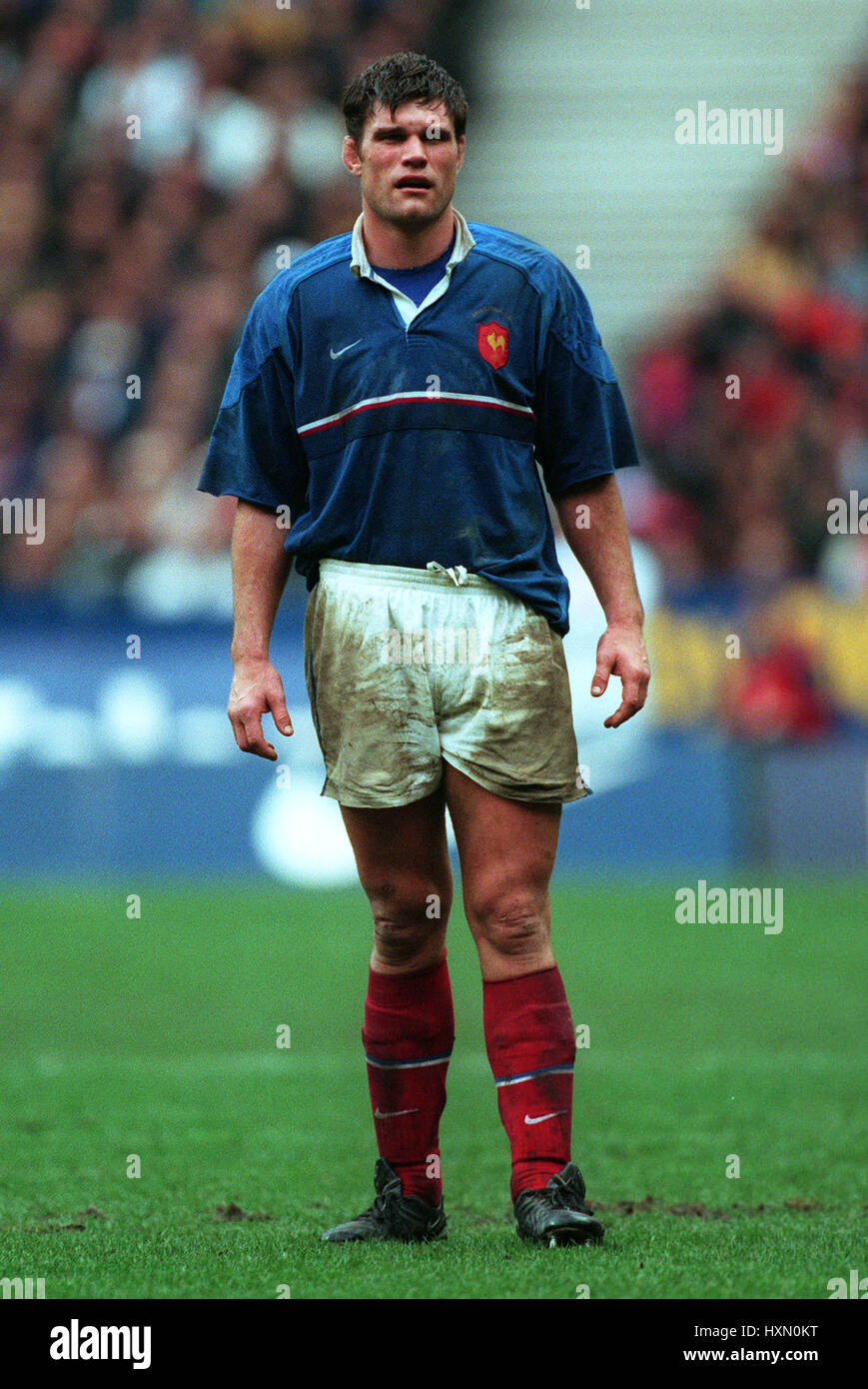 [Image: fabien-pelous-france-toulouse-ru-19-febr...HXN0KT.jpg]