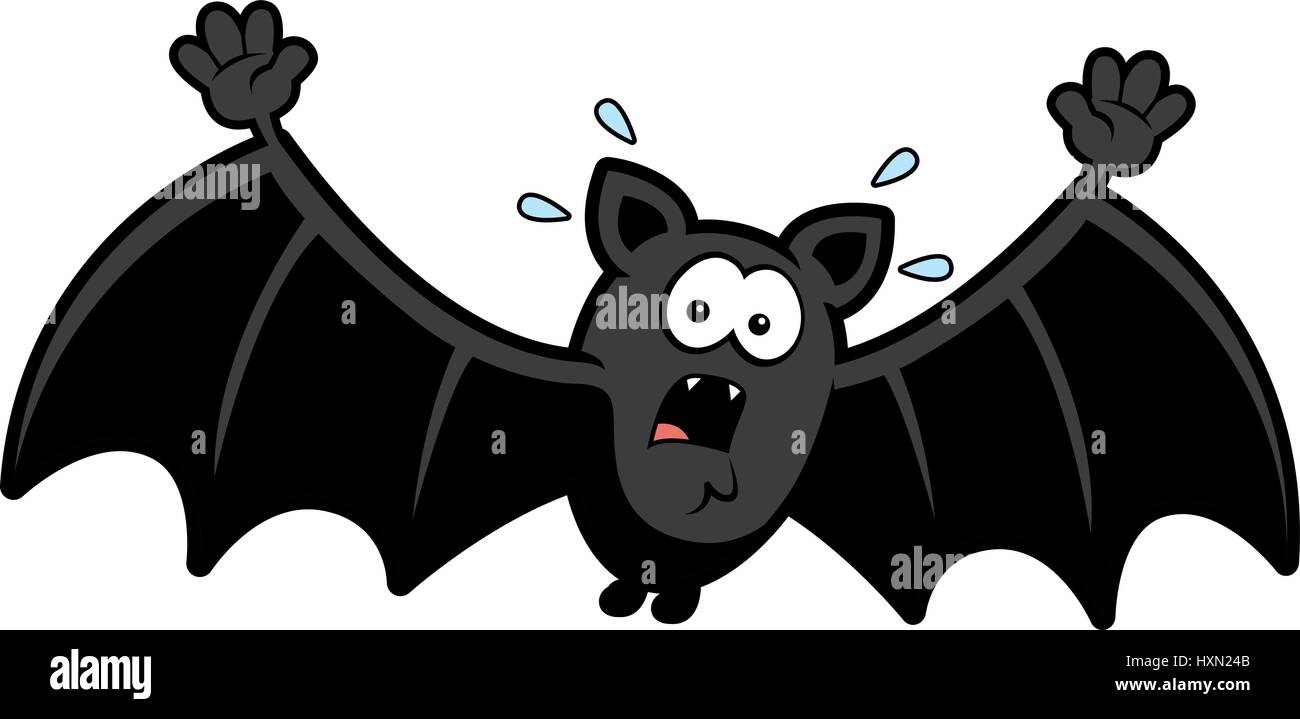 A cartoon illustration of a bat looking scared Stock Vector Image & Art