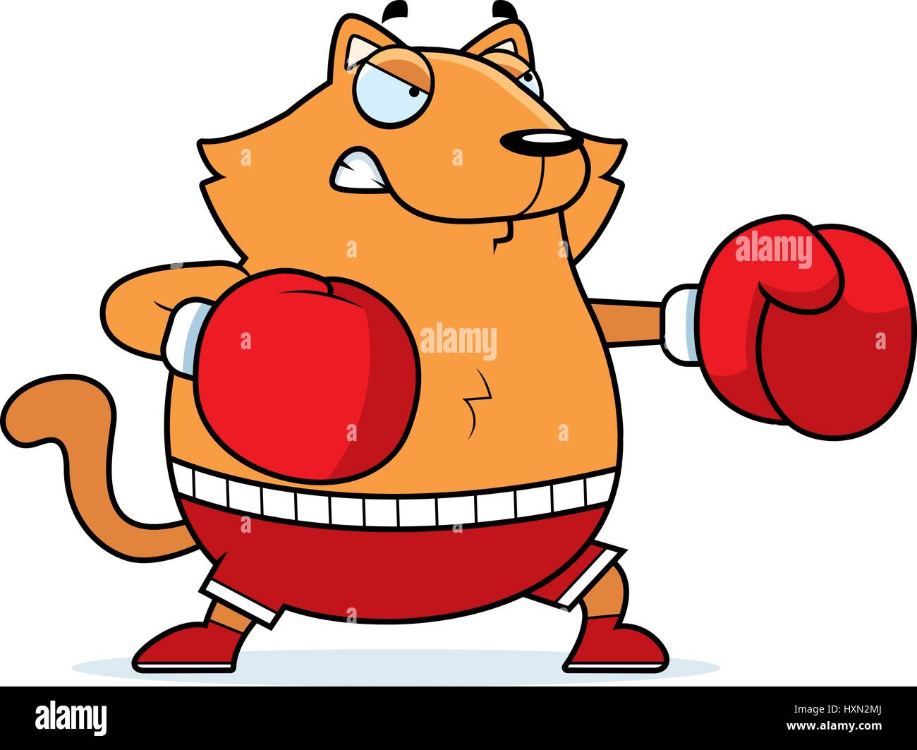 A cartoon illustration of a cat punching with boxing gloves Stock Vector  Image & Art - Alamy