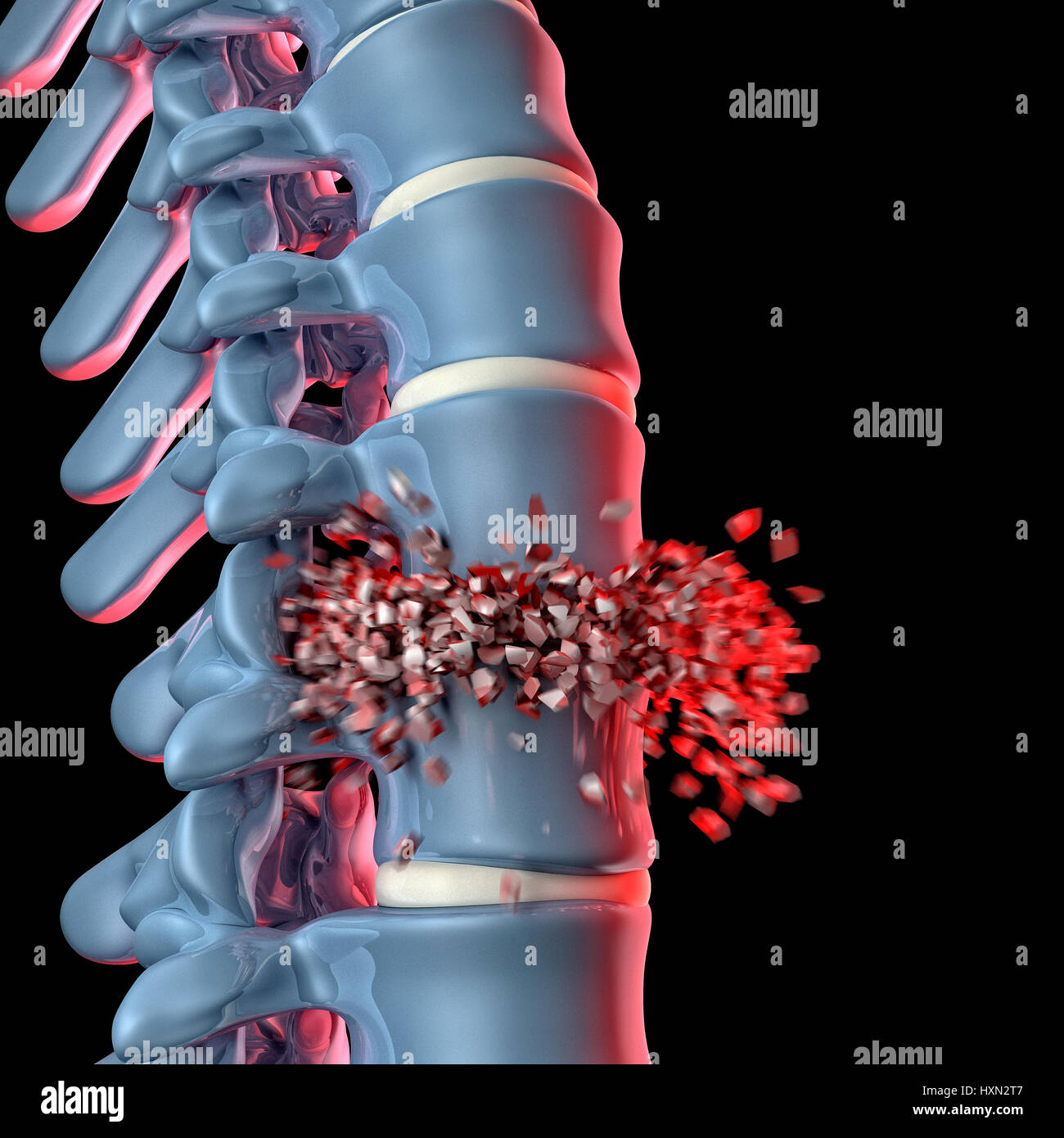 3d image of human spinal Stock Photo