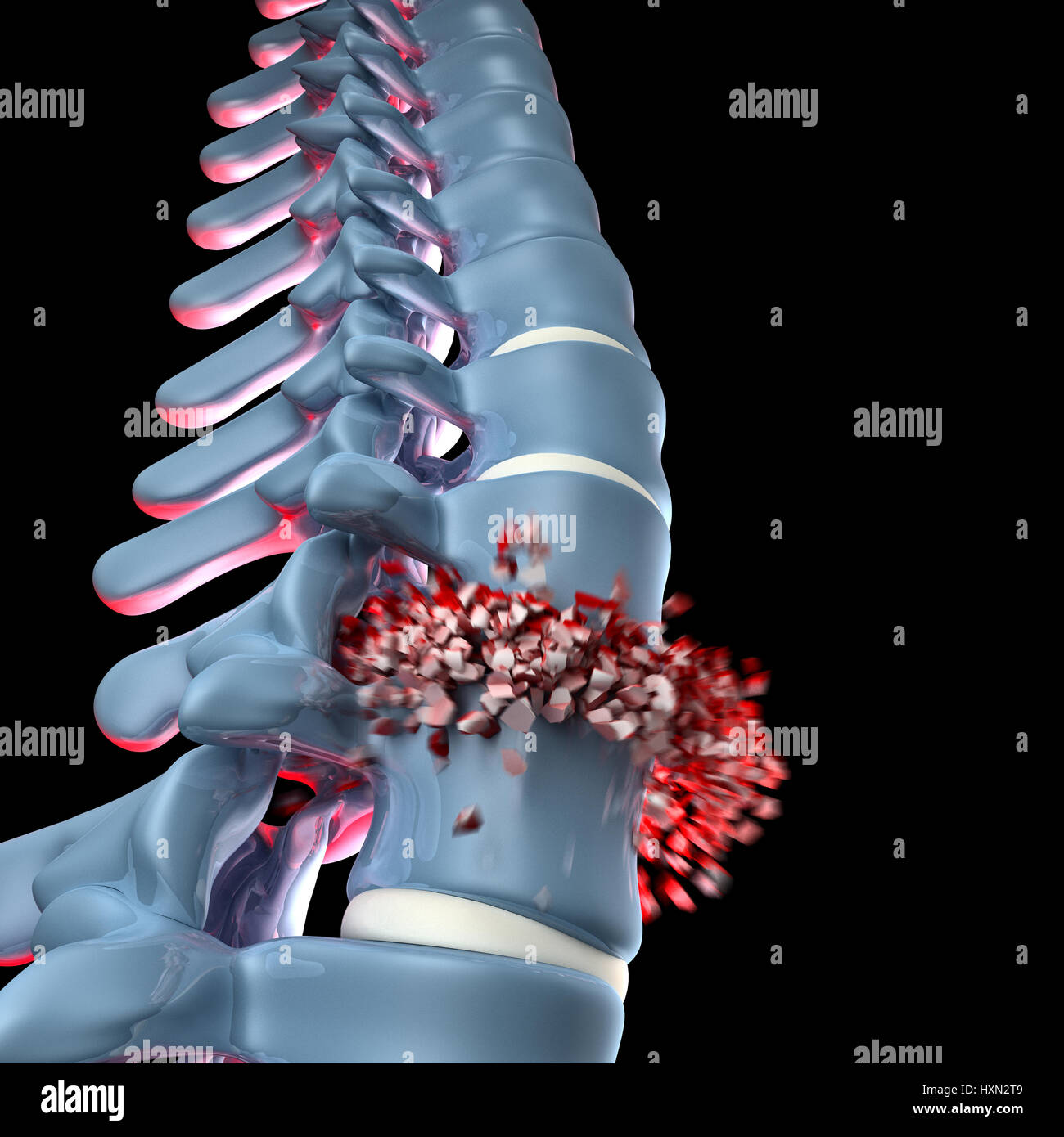 3d image of human spinal Stock Photo