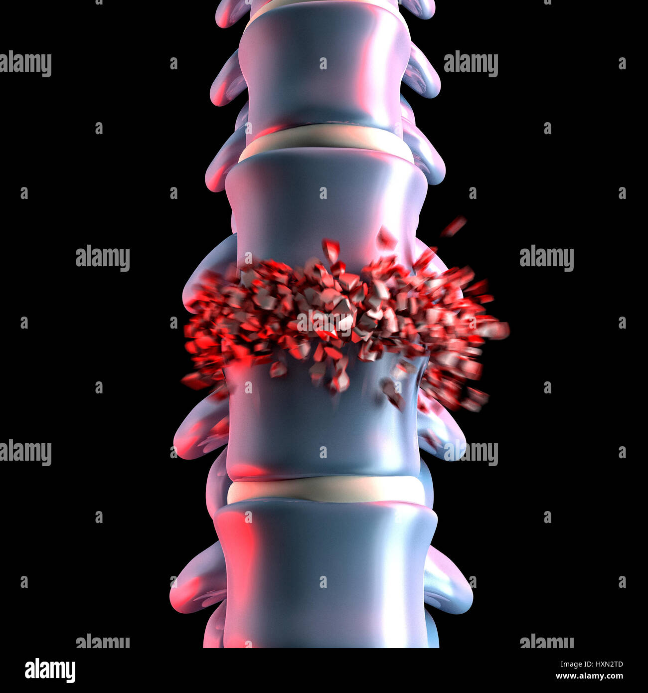 3d image of human spinal Stock Photo