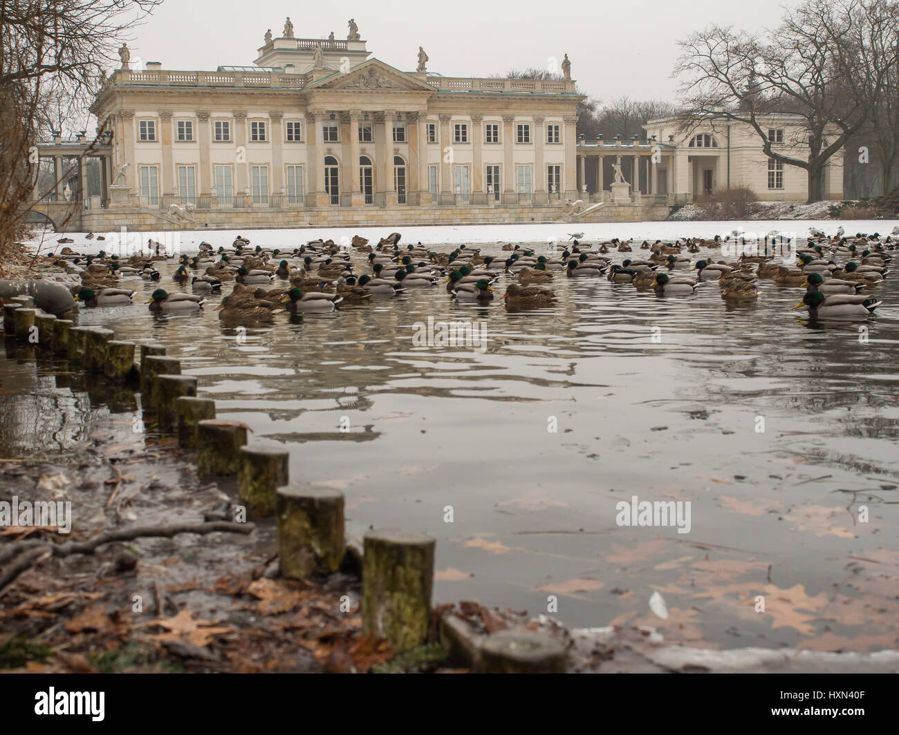 Warsaw, Poland - January 01, 2016: A View of the “Palace on the Water” in the Royal “Lazienki” park during  hard frosts in winter Stock Photo