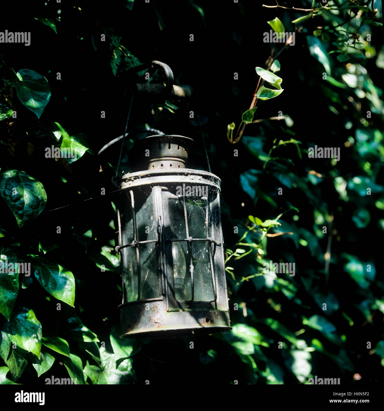 Metal lantern in garden. Stock Photo