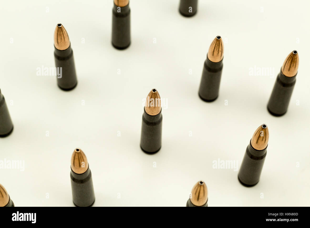 bird and turtle not looking at each other Stock Photo