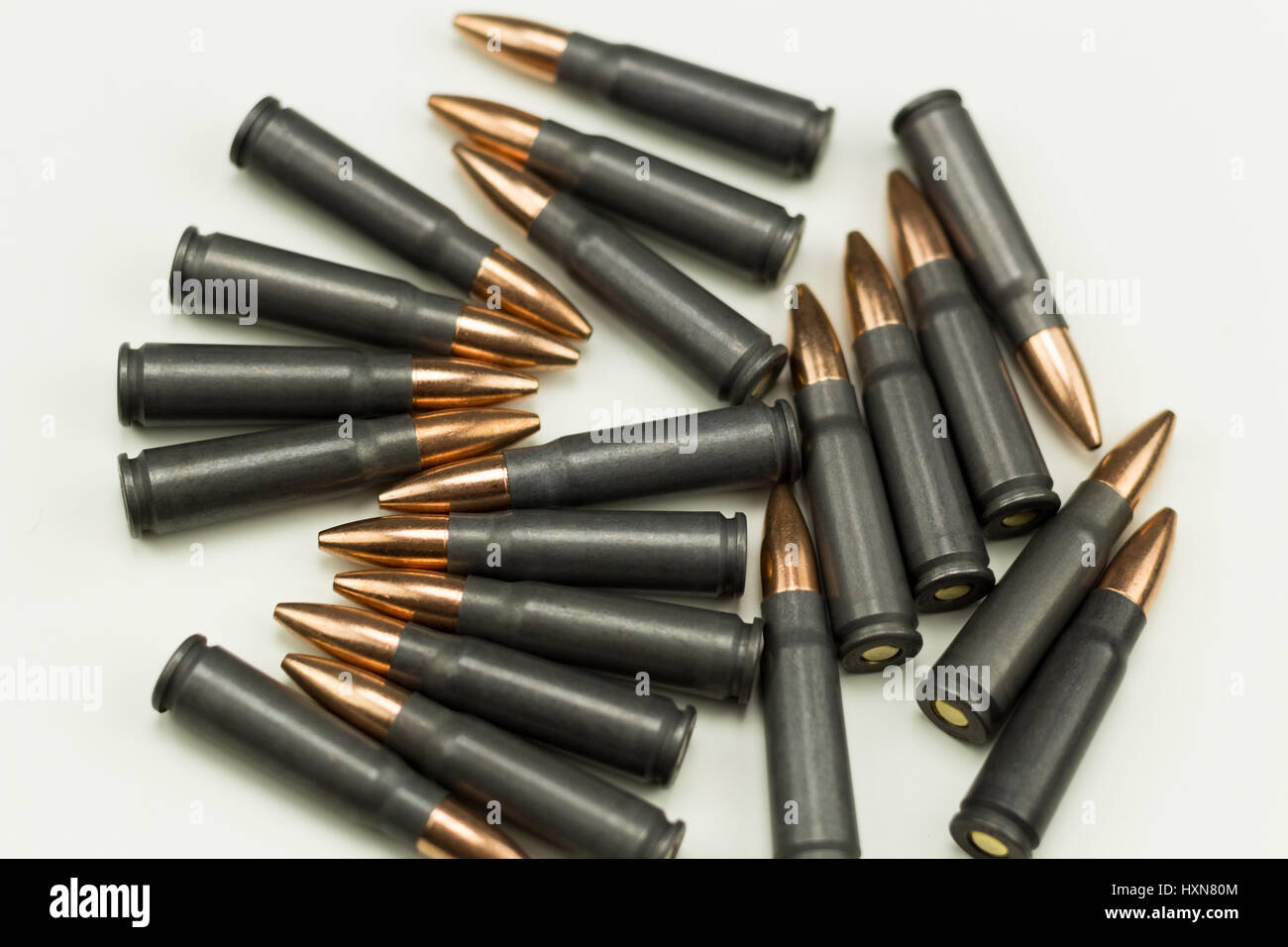 bird and turtle not looking at each other Stock Photo