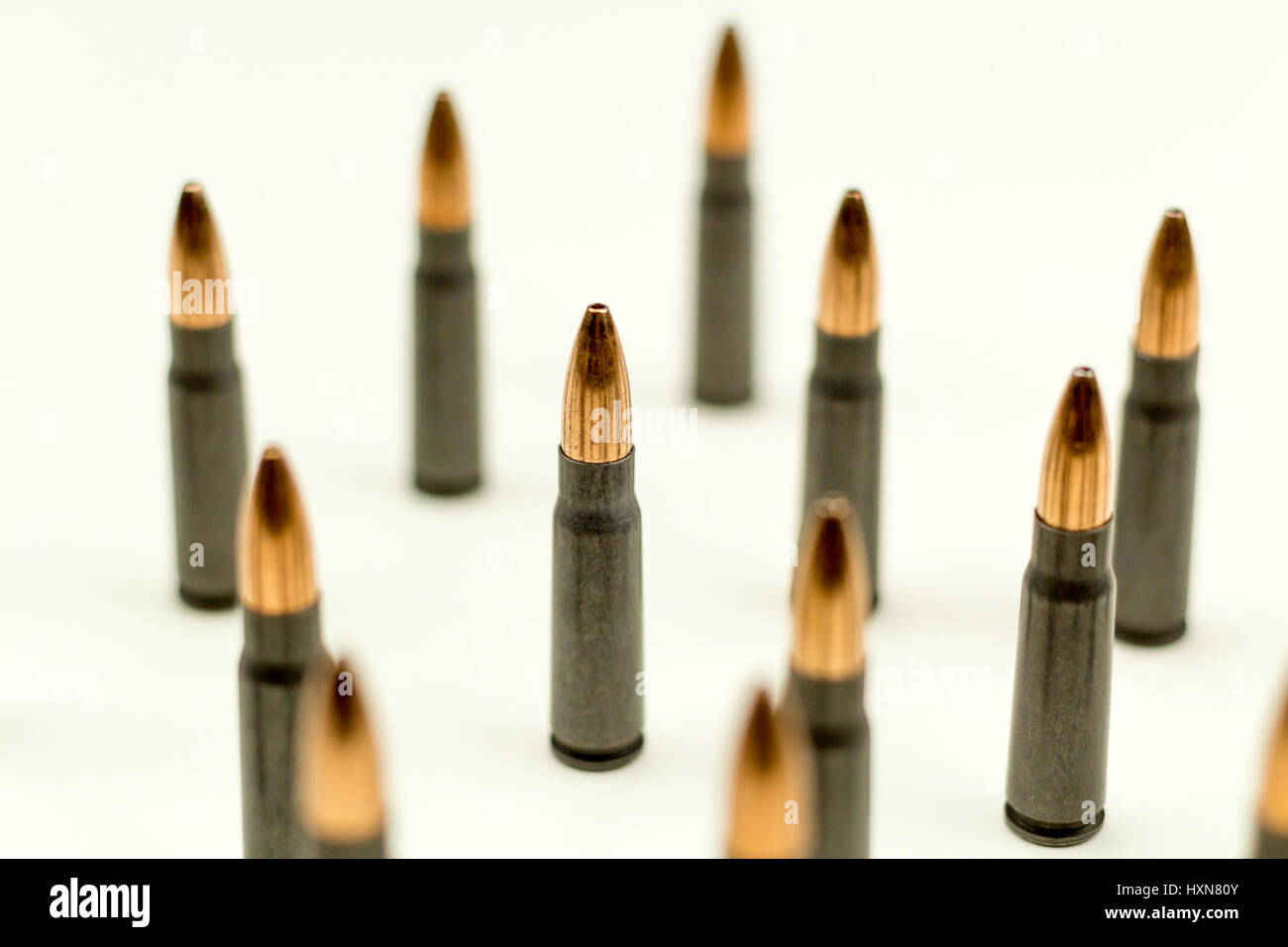 bird and turtle not looking at each other Stock Photo