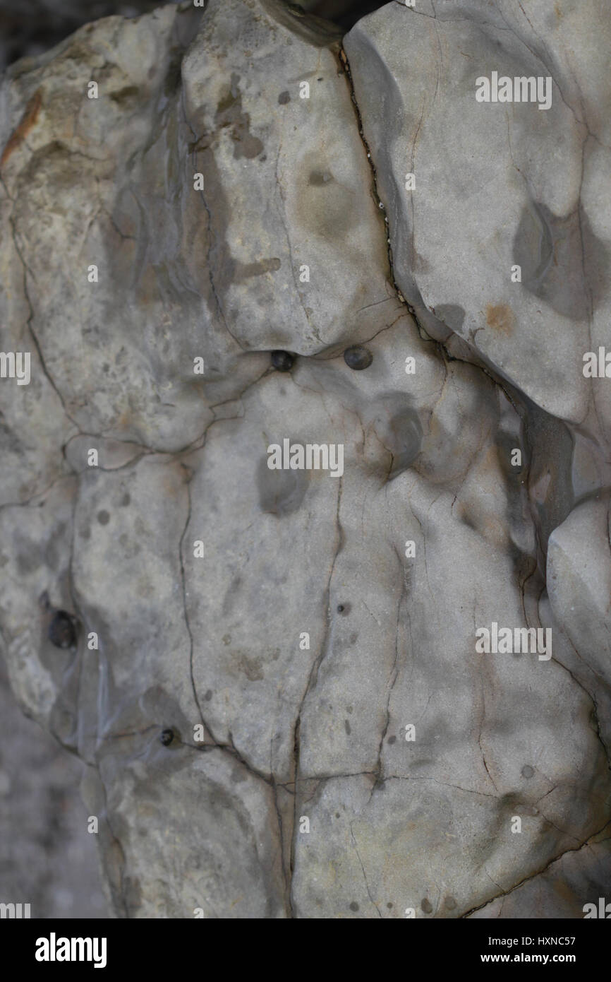 Rock with natural pattern at the beach Stock Photo - Alamy