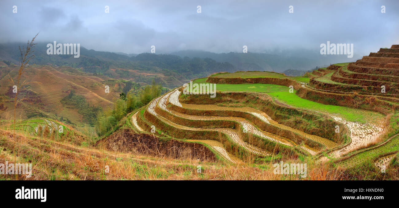 Rice Terraces, Dazhai village, Longsheng County, China. Yao village Dazhai, Longsheng, Guanxi province, south China. Guilin neighborhood, South West C Stock Photo