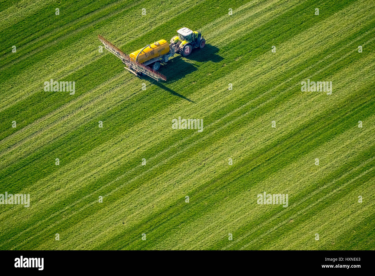 Straightener with pesticide sprayer, environmental toxins, fertilizing, Holsterhausen, Dorsten, Ruhrgebiet, North Rhine-Westphalia, Germany, Trecker m Stock Photo