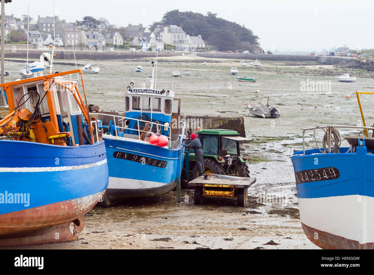 low tide in the île de Batz near Roscoff ,Brittany,France Stock Photo