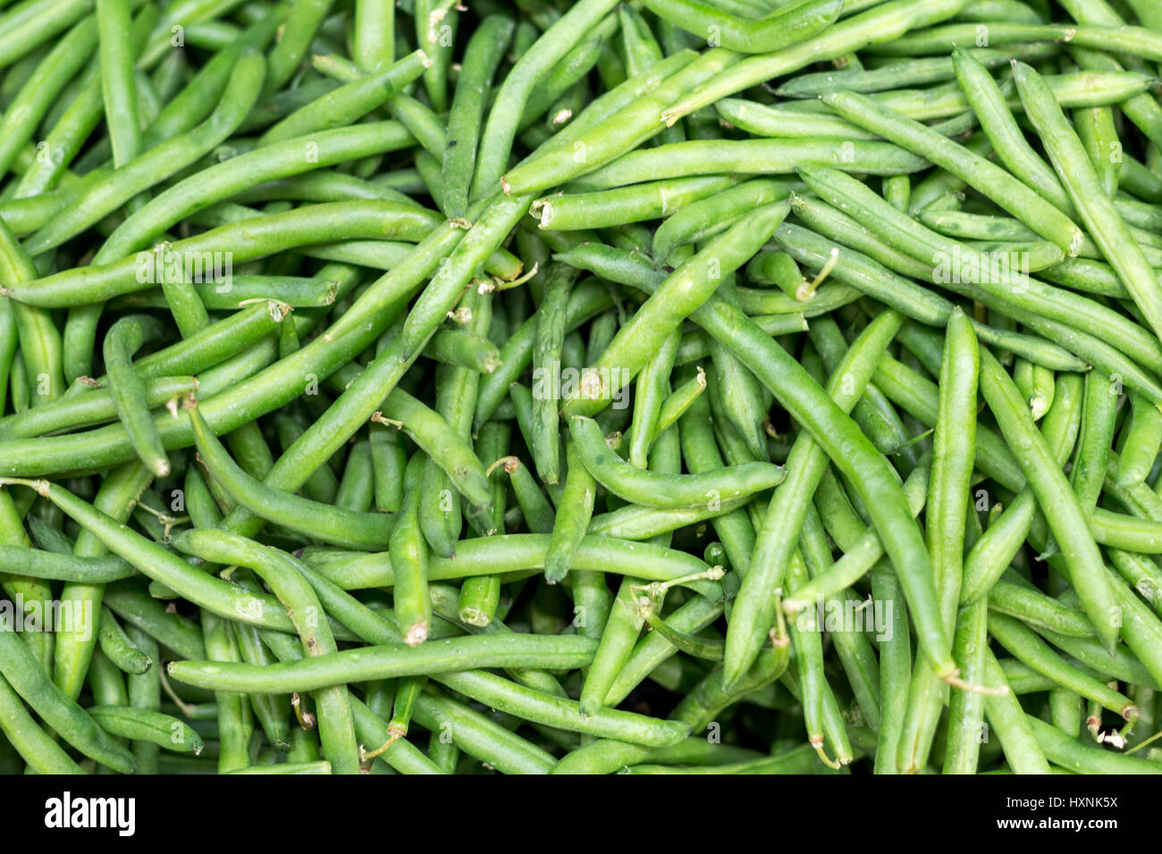 Snap beans hires stock photography and images Alamy