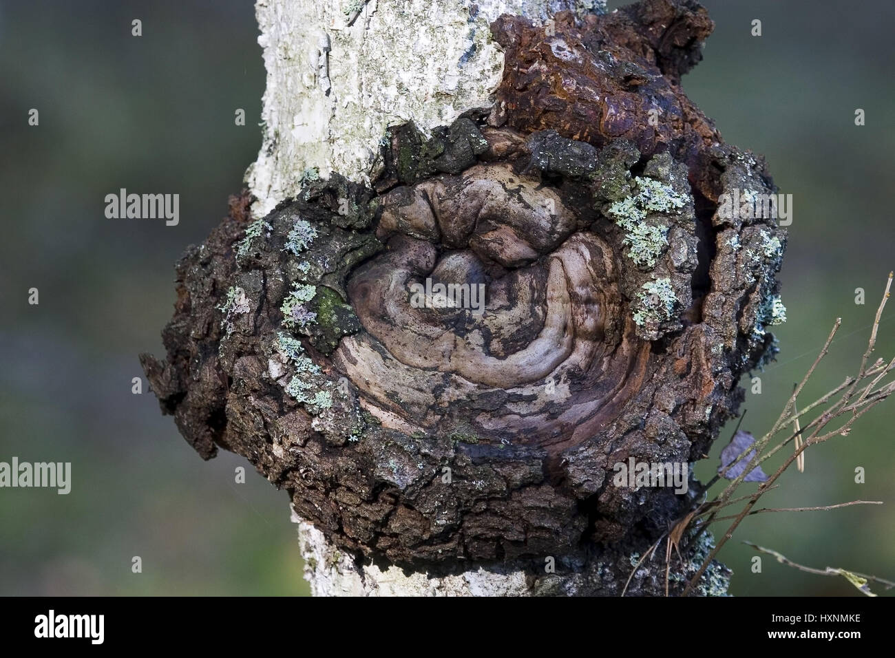 Haus Masuren Bergkamen Achtung Abzocke 2019 12 29
