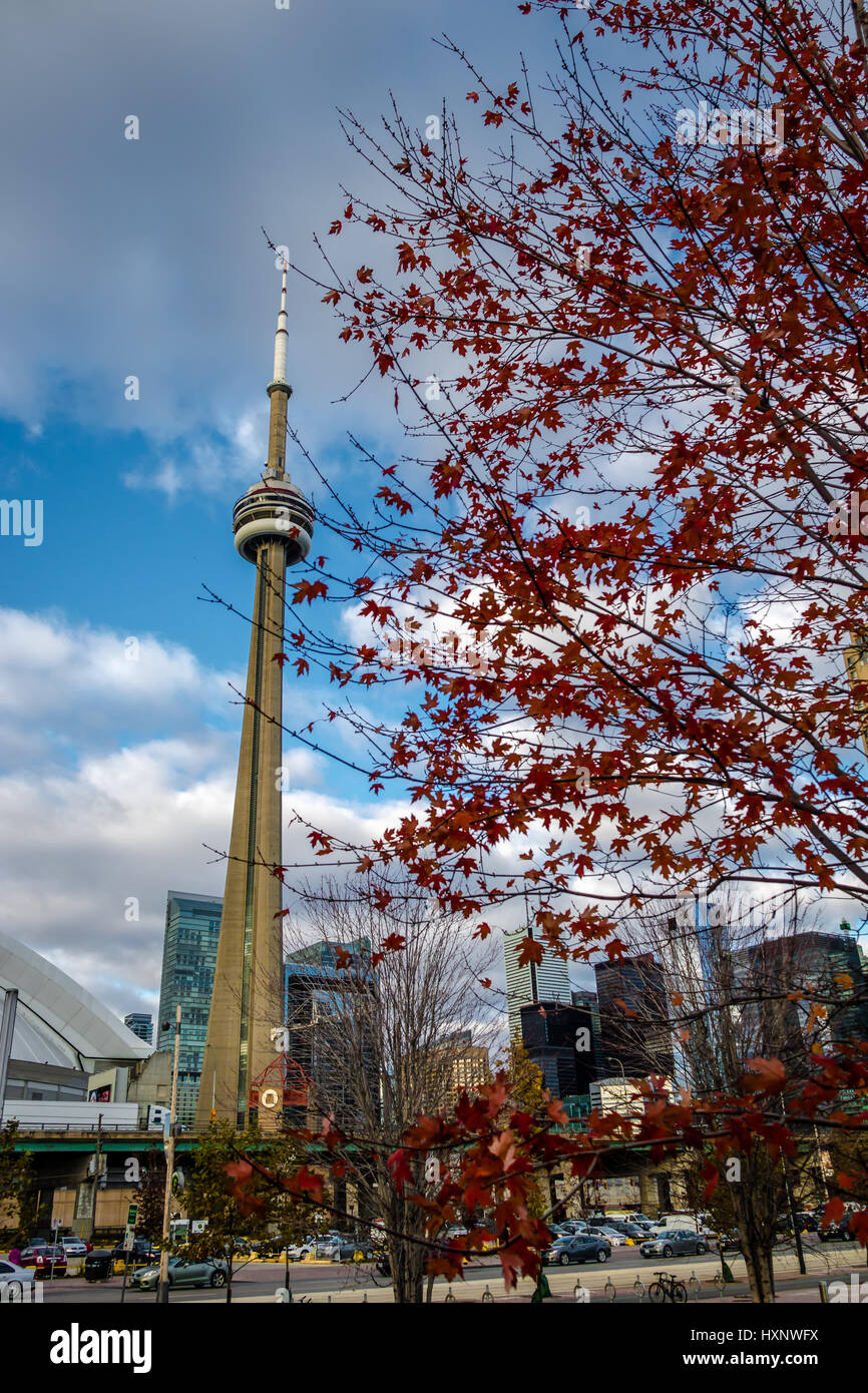 Buildings in Downtown Toronto with CN Tower and Autumn vegetation - Toronto, Ontario, Canada Stock Photo