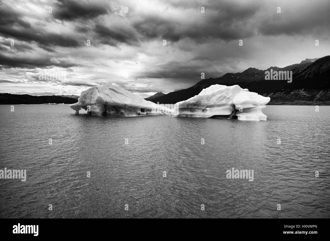 Iceberg floating in lago argentino (Argentina) Stock Photo