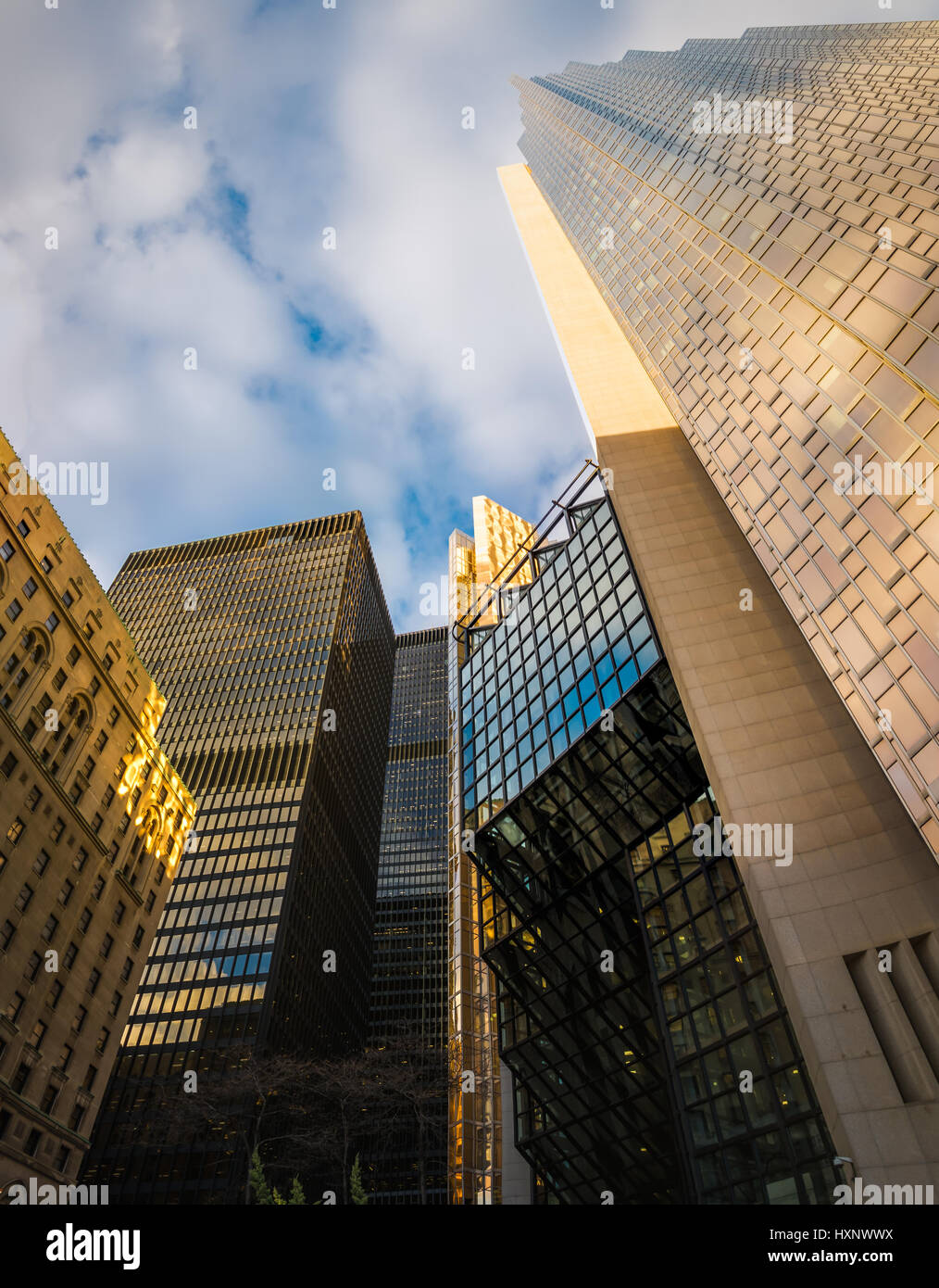 Modern skyscrapers in the Financial District of downtown Toronto - Toronto, Ontario, Canada Stock Photo