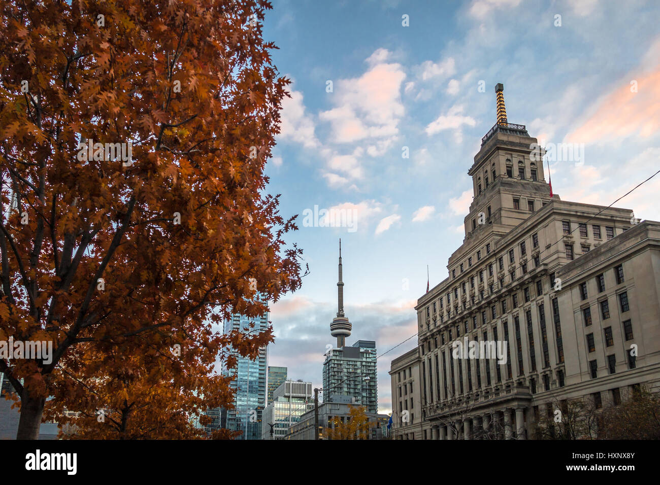 Buildings in Downtown Toronto with CN Tower and Autumn vegetation - Toronto, Ontario, Canada Stock Photo